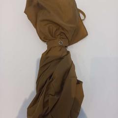 Parplu, ha sido reportado por Arriva Limburg Zuid con iLost