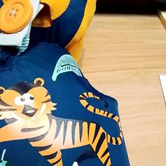 Tócsás jumper, amint azt Beekse Bergen Resorts en Hotel az iLost segítségével jelentette.