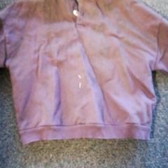 Sweater Bruin, as reported by Burgers' Zoo using iLost