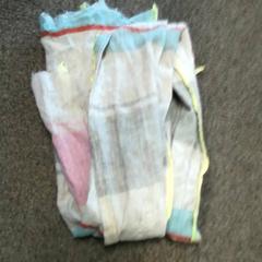 Sjal Meerdere kleuren, som rapportert av Burgers' Zoo ved bruk av iLost