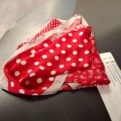 Collaret Rouge a petits pois, segons ha informat IKEA Paris - Plaisir mitjançant iLost