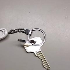 Clau, segons ha informat Burgers' Zoo mitjançant iLost