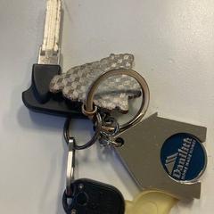 Llaves, ha sido reportado por Regio Oost-Vlaanderen con iLost