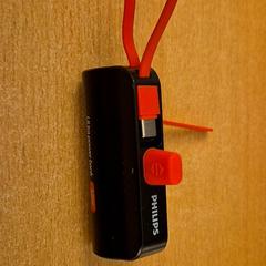 Powerbank Zwart oranje, come riportato da Mauritshuis Den Haag utilizzando iLost