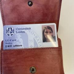 Wallet, as reported to iLost