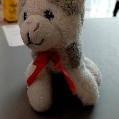 Cudowny policzek Ptit chien, zgłoszono przez IKEA Nantes przy użyciu iLost