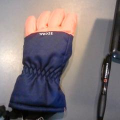 Guante, ha sido reportado por SnowWorld Landgraaf con iLost