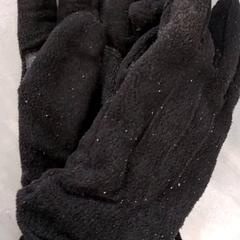 Handskar Zwart, rapporterat av Arriva Friesland / Groningen med iLost