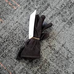 Handskar, rapporterat av Connexxion Haarlem IJmond med iLost