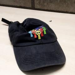 Keps, rapporterat av Arriva Oost-Brabant med iLost