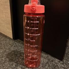 Wasserflasche, gemeldet von Van der Valk Spier-Dwingeloo über iLost