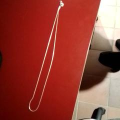 Collier, a été signalé par Apenheul utilisant iLost