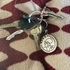 Sleutelbos, ha sido reportado a iLost