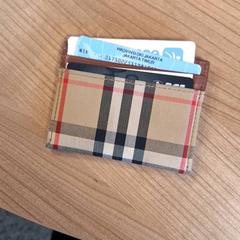 Cardholder, as reported by Connexxion Haarlem AML using iLost