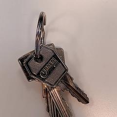 Claus, segons ha informat Syntus Provincie Utrecht mitjançant iLost