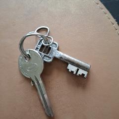 2 sleutels, gerapporteerd met iLost