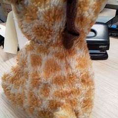 İLost kullanarak Qbuzz Fryslân tarafından bildirildiği gibi Knuffel