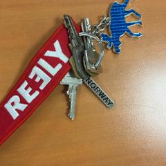 Clé, a été signalé par ibis Schiphol Amsterdam Airport utilisant iLost