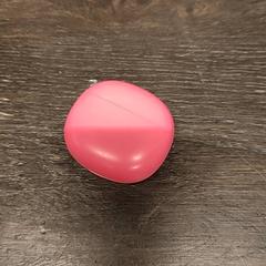 Ohrhörer, gemeldet von Attractie- & Vakantiepark Slagharen über iLost