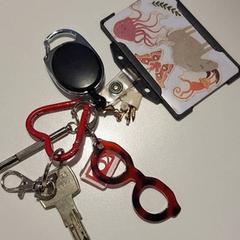 Chiave Rood hartje, pasje, brilletje en klip., come riportato da Gemeente Meierijstad utilizzando iLost
