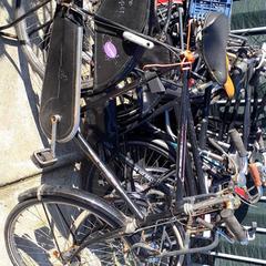 دراجة رجالية Gazelle Zwart، كما تم الإبلاغ عنه بواسطة Stadswerk072 عبر iLost