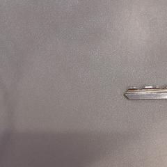 Sleutelbos, zoals gemeld door Walibi Holland met iLost