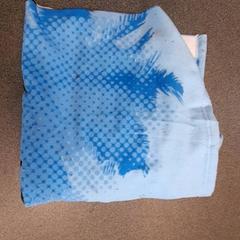 Badhanddoek, as reported by Dolfinarium using iLost