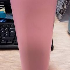 Ivópalack Roze, amint azt Qbuzz Fryslân az iLost segítségével jelentette.