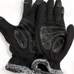 Gants Zwart, a été signalé par Arriva Friesland / Groningen utilisant iLost