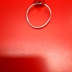 الخاتم، كما تم الإبلاغ عنه بواسطة UvA REC عبر iLost