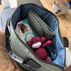Baby Green backpack with diapers and baby toys, segundo informou a iLost