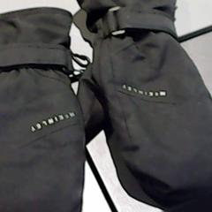 Gloves, as reported by SnowWorld Landgraaf using iLost