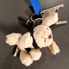 Llavero, ha sido reportado por Breng Nijmegen con iLost