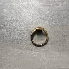 Ringe Geel en koperkleurig, som rapportert av Arriva Friesland / Groningen ved bruk av iLost