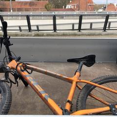 Vélo pour homme Mountainbike goudkleurig merk Trek, a été signalé par Fietsdepot Diepenbeek utilisant iLost