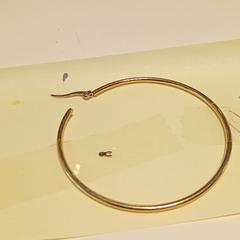 귀걸이, iLost를 사용하여 Breda University of Applied Sciences Mgr. Hopmansstraat에 보고됨