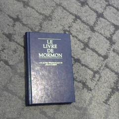 Libro, come riportato da Relais Azalys utilizzando iLost