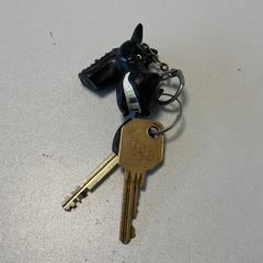 Giltza-giltza Met Paard, gisa salatu by Breng Arnhem iLost erabiliz