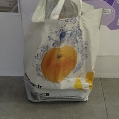 Sac de courses, som rapportert av Keolis Seine Maritime ved bruk av iLost