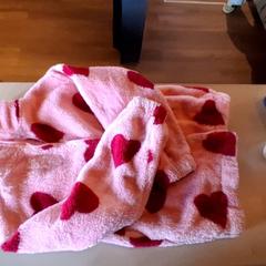 Vest, as reported by Familiepark Drievliet using iLost