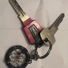 Setje sleutels, come riportato a iLost