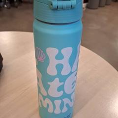 Gourde, segundo informou IKEA Metz usando iLost