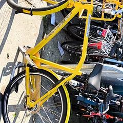 Pánsky bicykel gazelle Geel, ako bolo nahlásené Stadswerk072 pomocou iLost