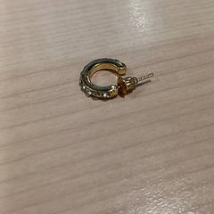 Earring, as reported by IKEA Toulouse using iLost