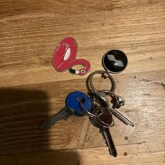 sleutelbos met flamingo eraan, as reported to iLost