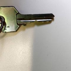 Klíče, jak nahlášeno Centraal magazijn pomocí iLost