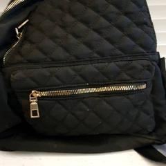 Bag Zwart, as reported by DierenPark Amersfoort using iLost
