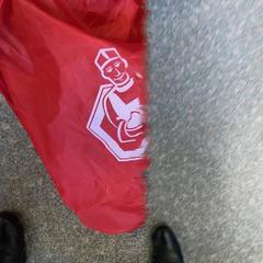 Bolsa met knuffel in, segundo informou Regio Oost-Vlaanderen usando iLost