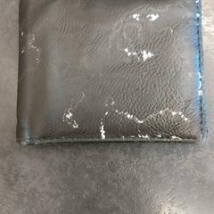 Cartera, segons ha informat Rotterdam The Hague Airport mitjançant iLost