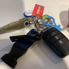 Giltzak, gisa salatu by Gemeente Amsterdam iLost erabiliz